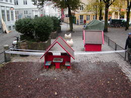 P1010005.JPG