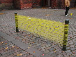 P1010003.JPG