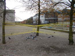 P1010014.JPG