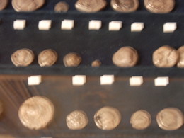 RIMG0006.JPG