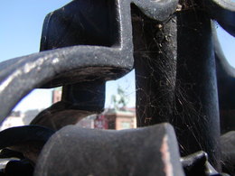 P1010009.JPG