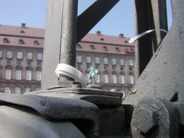 P1010004.JPG